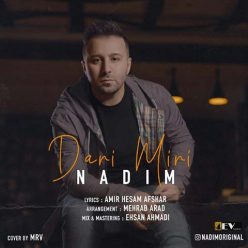 Nadim – Dari Miri